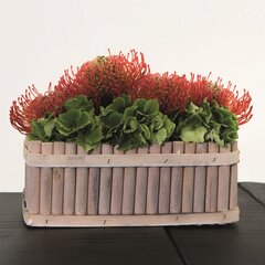 Puidust lillepott Nola, 30x21 x 10(H) cm, pruun hind ja info | Dekoratiivsed lillepotid | kaup24.ee