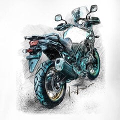 Suzuki vstrom v-strom DL-650 DL650 мужская футболка с мотоциклом 1632-7 цена и информация | Мужские футболки | kaup24.ee