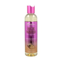 Šampoon Mielle Bonacure Scalp Genesis (227 g) hind ja info | Šampoonid | kaup24.ee