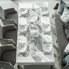 Ambition Aura Silver lõunaserviis, 67-osaline цена и информация | Посуда, тарелки, обеденные сервизы | kaup24.ee