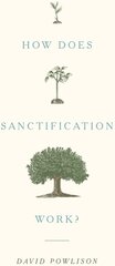 How Does Sanctification Work? hind ja info | Usukirjandus, religioossed raamatud | kaup24.ee