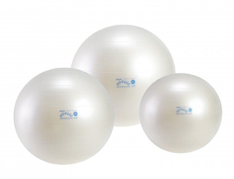 Võimlemispall Fit Ball 55 hind ja info | Võimlemispallid | kaup24.ee