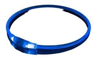 KABB LED Collar for Dogs and Cats Blue цена и информация | Ошейники, подтяжки для собак | kaup24.ee