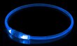 KABB LED Collar for Dogs and Cats Blue цена и информация | Kaelarihmad ja traksid koertele | kaup24.ee