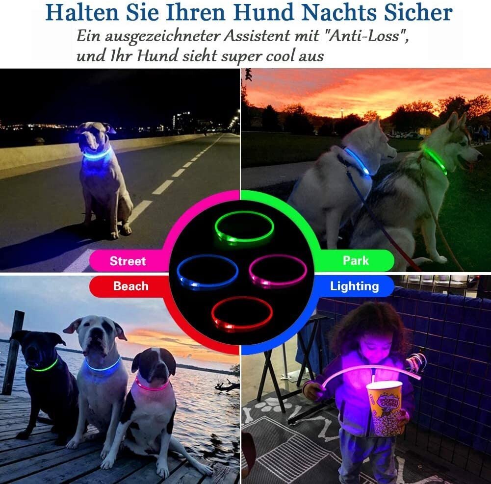 KABB LED Collar for Dogs and Cats Blue цена и информация | Kaelarihmad ja traksid koertele | kaup24.ee