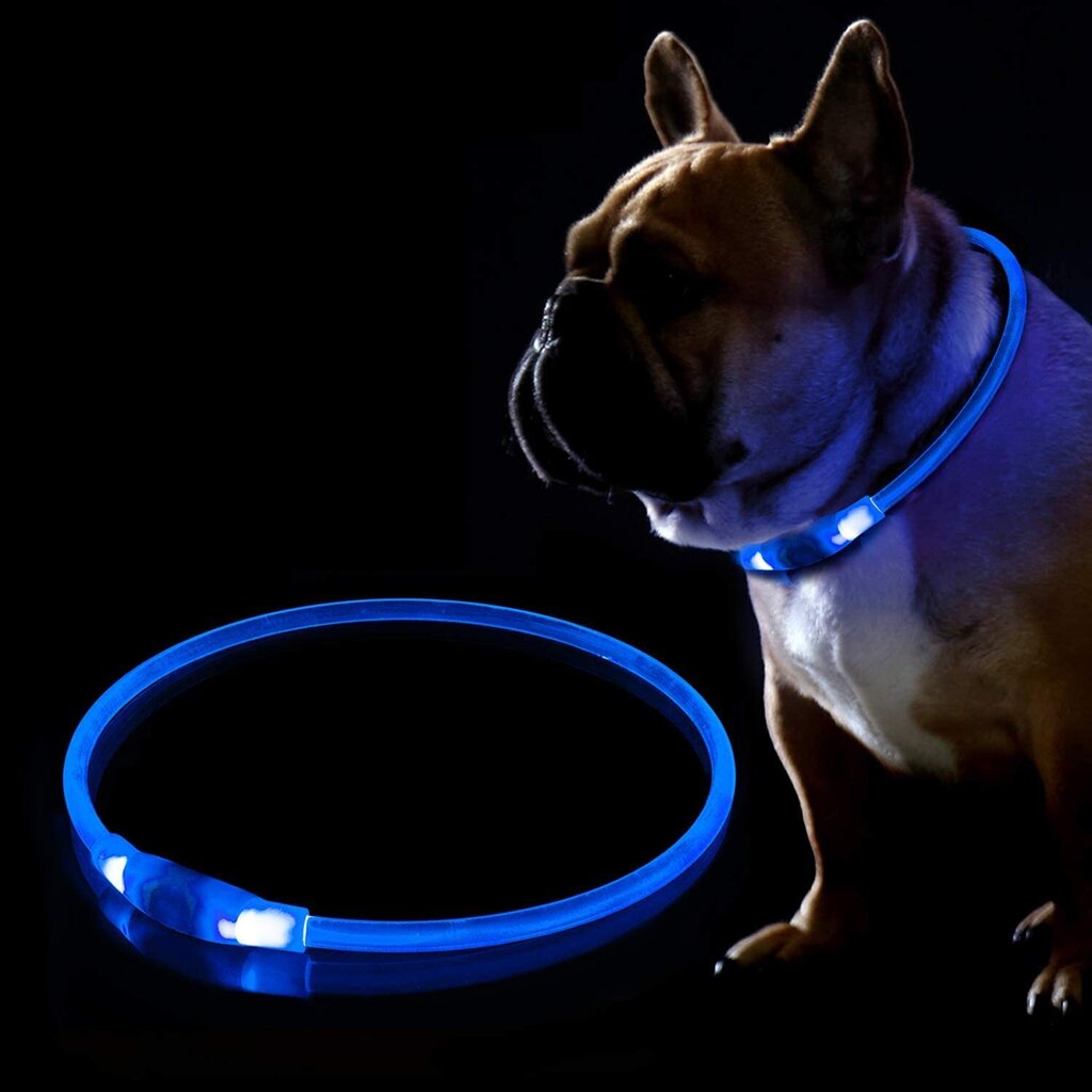 KABB LED Collar for Dogs and Cats Blue hind ja info | Kaelarihmad ja traksid koertele | kaup24.ee