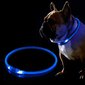 KABB LED Collar for Dogs and Cats Blue hind ja info | Kaelarihmad ja traksid koertele | kaup24.ee