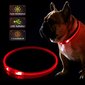 KABB LED Collar for Dogs and Cats Red цена и информация | Kaelarihmad ja traksid koertele | kaup24.ee