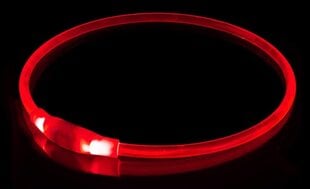 KABB LED Collar for Dogs and Cats Red hind ja info | Kaelarihmad ja traksid koertele | kaup24.ee