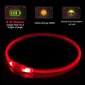 KABB LED Collar for Dogs and Cats Red цена и информация | Kaelarihmad ja traksid koertele | kaup24.ee