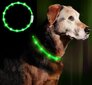 Anicoll LED Collar for Dogs and Cats Green цена и информация | Kaelarihmad ja traksid koertele | kaup24.ee