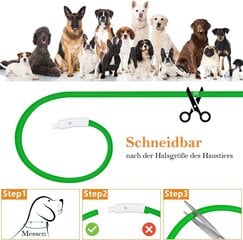 Anicoll LED Collar for Dogs and Cats Green hind ja info | Kaelarihmad ja traksid koertele | kaup24.ee