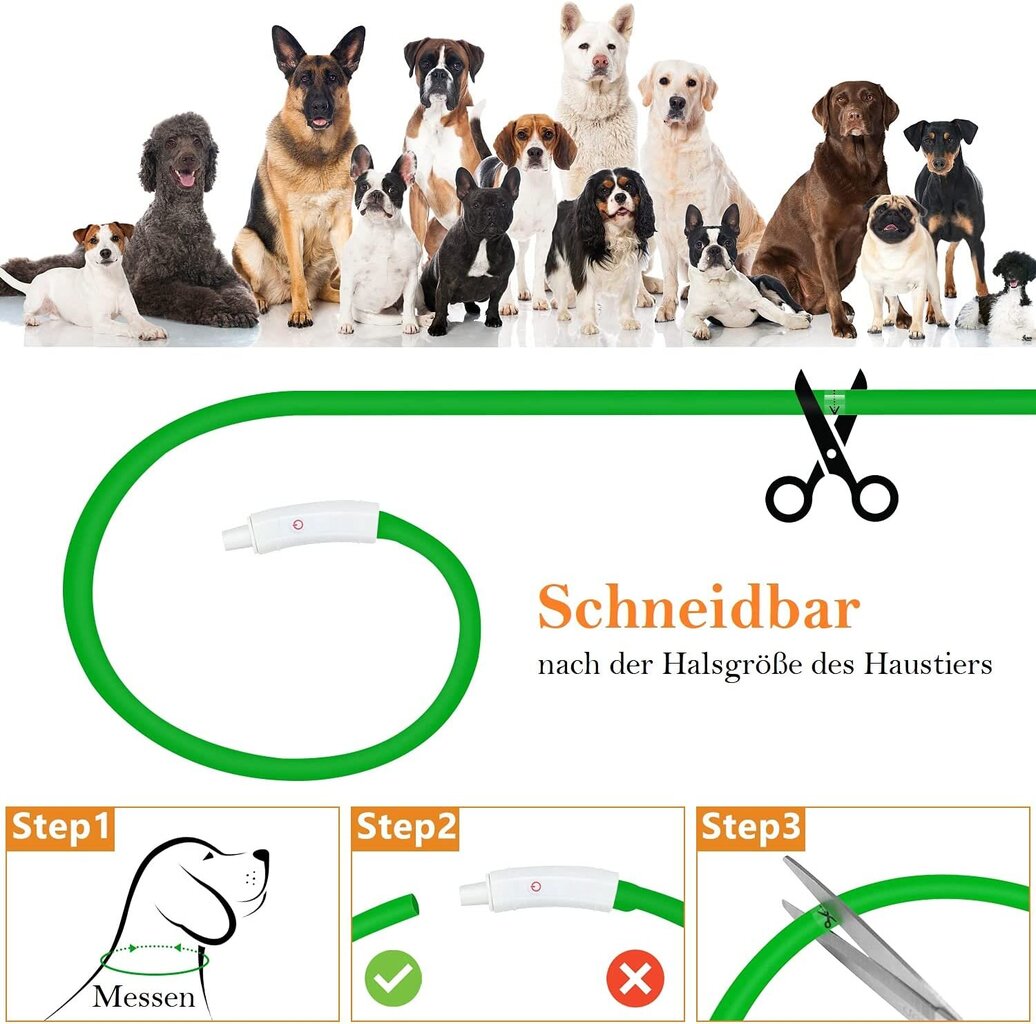 Anicoll LED Collar for Dogs and Cats Green цена и информация | Kaelarihmad ja traksid koertele | kaup24.ee