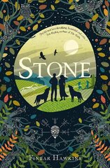 Stone цена и информация | Книги для подростков и молодежи | kaup24.ee