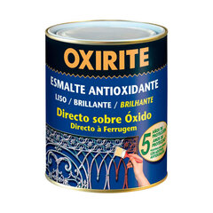 Antioksüdantne email OXIRITE 5397812 250 ml Hõbedane цена и информация | Краска | kaup24.ee