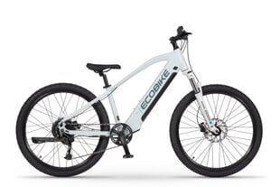Elektrijalgratas Ecobike SX Youth White 14", 2023, valge цена и информация | Электровелосипеды | kaup24.ee