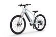 Elektrijalgratas Ecobike SX Youth White 14", 2023, valge hind ja info | Elektrirattad | kaup24.ee