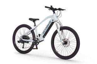 Электровелосипед Ecobike SX Youth White 14", 2023, белый цвет цена и информация | Электровелосипеды | kaup24.ee