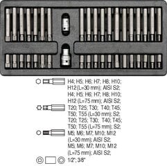 Sahtli sisukomplekt YATO 40 tk. 5538 цена и информация | Механические инструменты | kaup24.ee