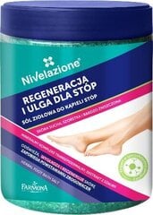 Taimne jalavannisool Farmona Nivelazione Feet, 600g цена и информация | Масла, гели для душа | kaup24.ee