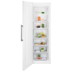 Electrolux LUT9ME28W4 цена и информация | Electrolux Холодильники и морозилки | kaup24.ee