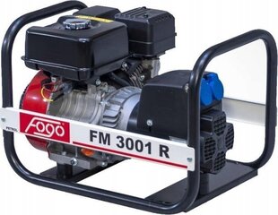 Kaasaskantav generaatori komplekt 2,7KW 230V F3001 R hind ja info | Generaatorid | kaup24.ee
