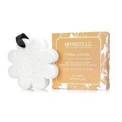 Губка для тела, пропитанная гелем для душа Spongelle White Flower Tobacco Vanilla White, 85 г цена и информация | Масла, гели для душа | kaup24.ee