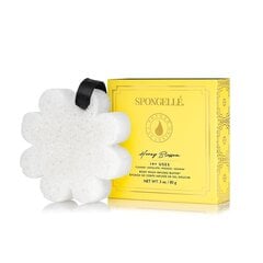 Губка для тела, пропитанная гелем для душа Spongelle White Flower Honey Blossom, 85 г цена и информация | Масла, гели для душа | kaup24.ee