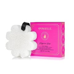 Губка для тела, пропитанная гелем для душа Spongelle White Flower Bulgarian Rose, 85 г цена и информация | Масла, гели для душа | kaup24.ee