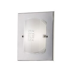 Настенный светильник Italux Kinkiet Daze цена и информация | Настенные светильники | kaup24.ee