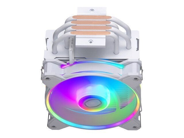 Cooler Master Hyper 212 Halo White hind ja info | Protsessori jahutid | kaup24.ee