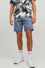 Шорты чинос JACK &amp; JONES 12165604FLINTSTONE-M цена и информация | Мужские шорты | kaup24.ee