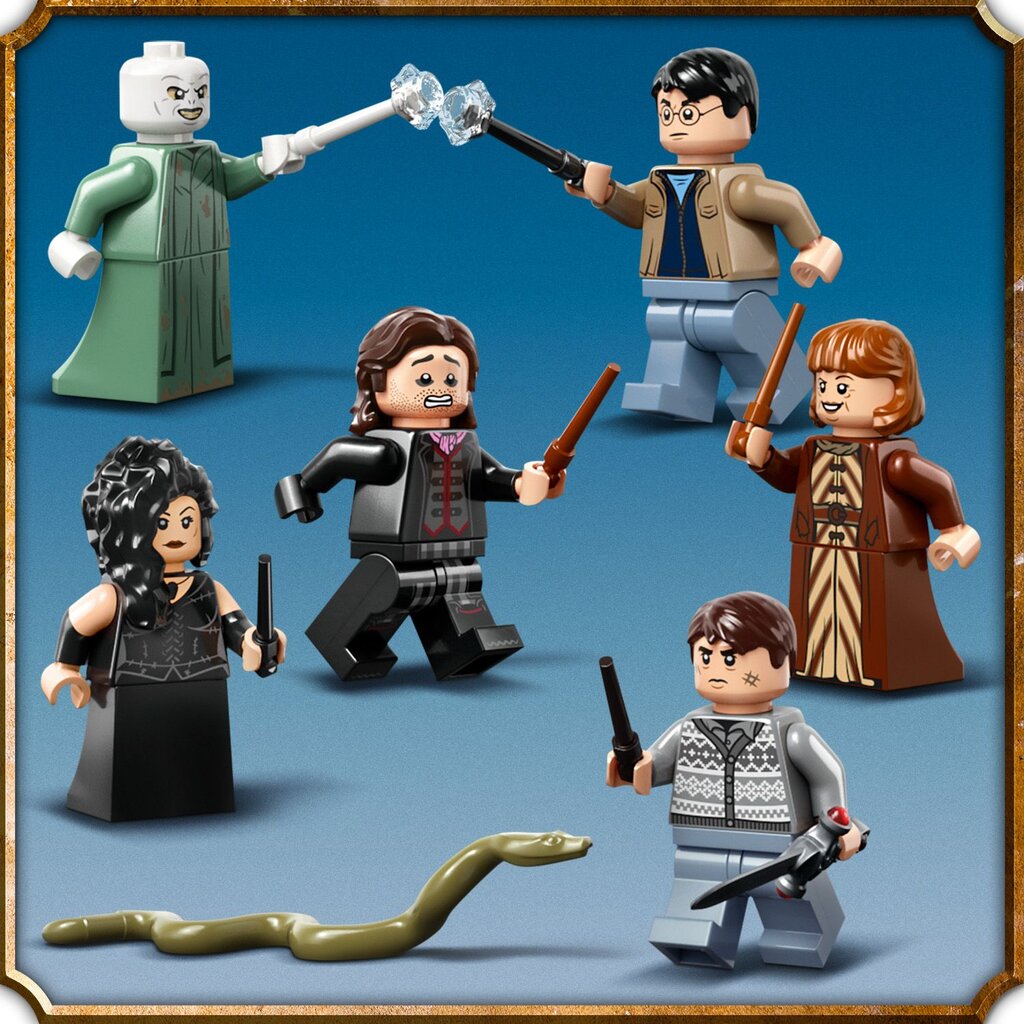 76415 LEGO® Harry Potter Sigatüügas: цена и информация | Klotsid ja konstruktorid | kaup24.ee