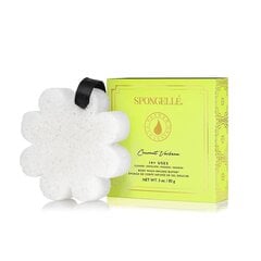 Губка для тела, пропитанная гелем для душа Spongelle White Flower Coconut Verbena, 85 г цена и информация | Масла, гели для душа | kaup24.ee