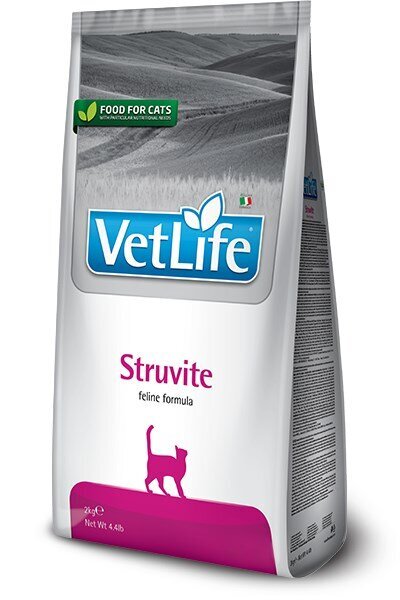 Kuivtoit täiskasvanud kassidele Farmina Pet Food STRUVITE FELINE, 2 kg цена и информация | Kuivtoit kassidele | kaup24.ee