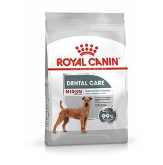 Сухой корм для взрослых собак ROYAL CANIN CCN Medium Dental Adult, 3кг цена и информация | Сухой корм для собак | kaup24.ee