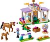 41746 LEGO® Friends Hobuse treening hind ja info | Klotsid ja konstruktorid | kaup24.ee