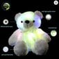 Värviliste LED-värvidega helendav kaisukaru, valge hind ja info | Pehmed mänguasjad | kaup24.ee