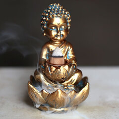 Viirukialus Buddha цена и информация | Ароматы для дома | kaup24.ee