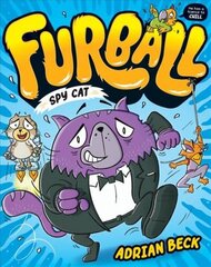 Furball: Spy cat цена и информация | Книги для малышей | kaup24.ee