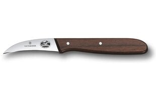 Victorinox Rosewood nuga, 6 cm hind ja info | Noad ja tarvikud | kaup24.ee