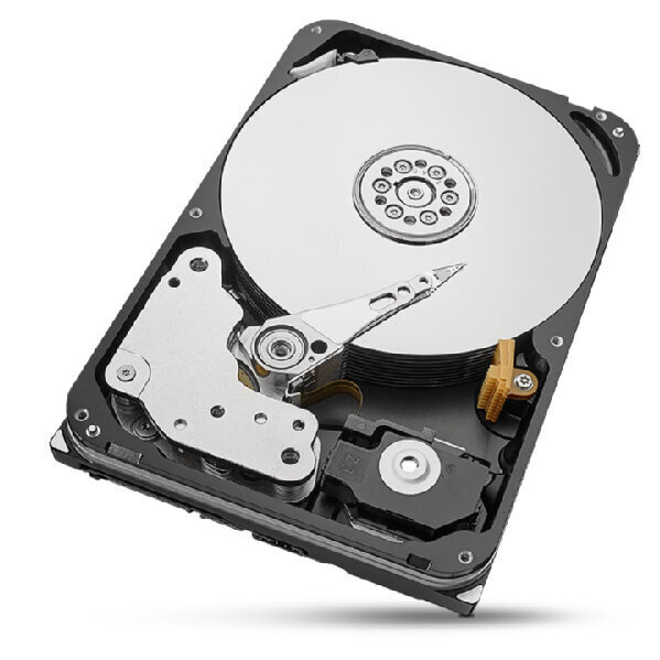 Seagate IronWolf Pro ST20000NE000 20 TB - SATA 6Gb/s цена и информация | Sisemised kõvakettad (HDD, SSD, Hybrid) | kaup24.ee