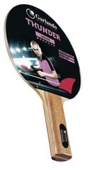Table tennis bat GARLANDO Thunder 1 star цена и информация | Ракетки для настольного тенниса, чехлы и наборы | kaup24.ee
