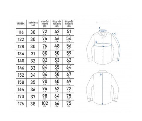 Poiste särk Jankes moda 001-16 цена и информация | Poiste särgid | kaup24.ee