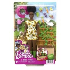 Barbie nukk hind ja info | Tüdrukute mänguasjad | kaup24.ee