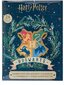 Harry Potter Advent Calendar hind ja info | Fännitooted mänguritele | kaup24.ee