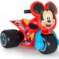 Laste elektriline kolmerattaline jalgratas Mickey Mouse 6V hind ja info | Laste elektriautod | kaup24.ee