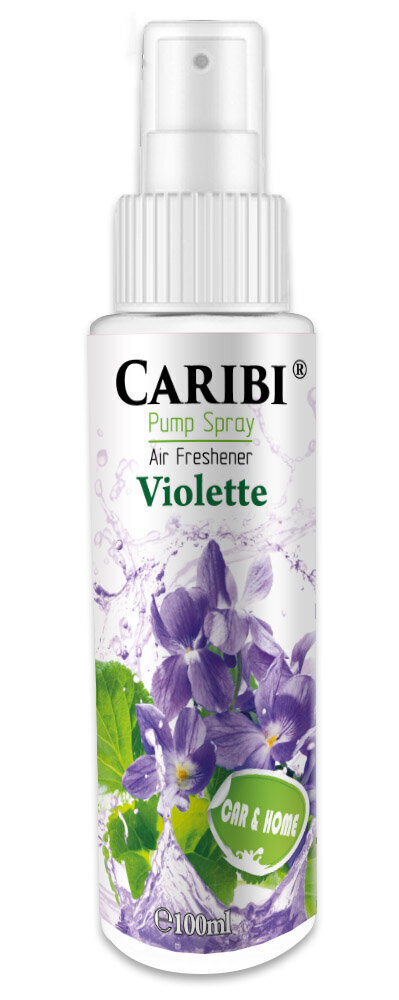 Kodune parfüüm Caribi Violette, 100ml цена и информация | Kodulõhnastajad | kaup24.ee