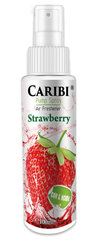 Kodune parfüüm Caribi Strawberry, 100ml hind ja info | Kodulõhnastajad | kaup24.ee