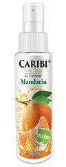 Домашний парфюм  Caribi Mandarin, 100мл цена и информация | Ароматы для дома | kaup24.ee